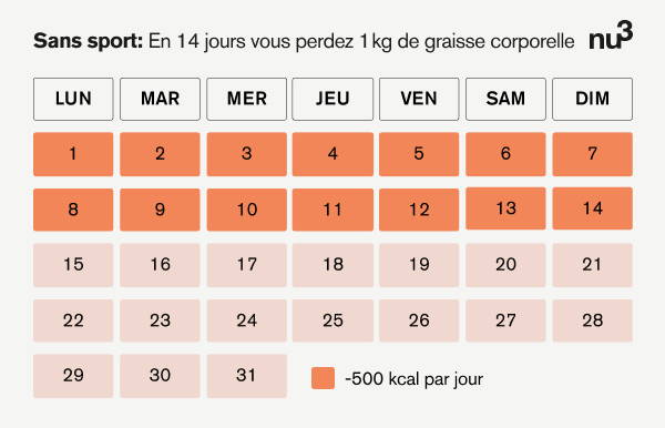 découvrez des conseils efficaces sur le régime et la perte de poids pour atteindre vos objectifs de santé. apprenez à manger équilibré, à planifier vos repas et à adopter un mode de vie actif pour transformer votre corps tout en vous faisant plaisir.